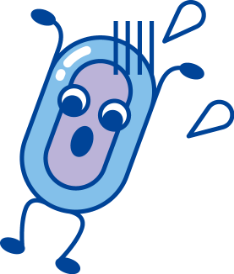 芽胞くん