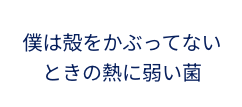 僕は殻をかぶっていないときの熱に弱い菌