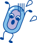 芽胞くん