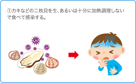 カキなどの二枚貝を生、あるいは十分に加熱調理しないで食べて感染する