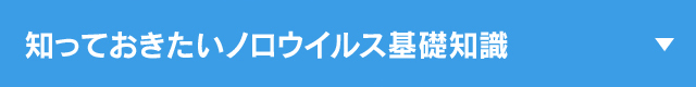 知っておきたいノロウイルス基礎知識